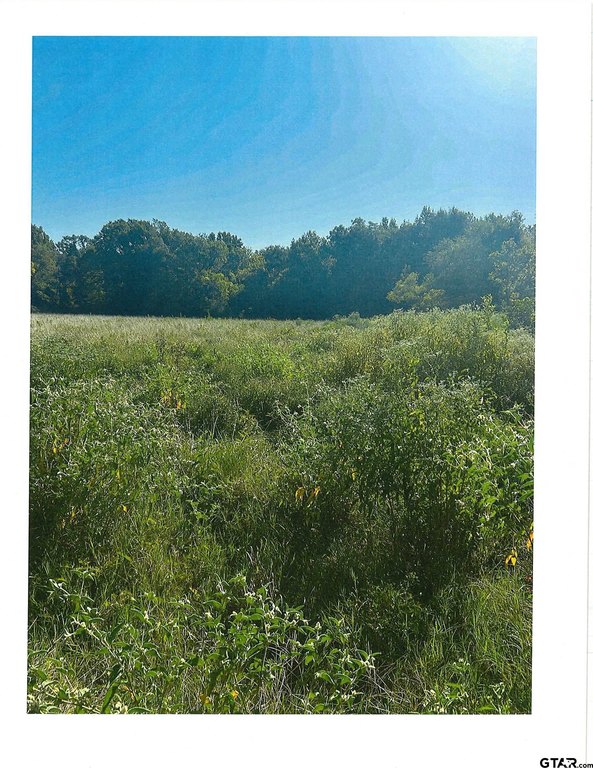 Picture 13