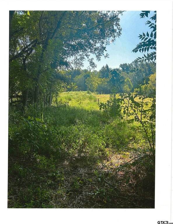 Picture 9