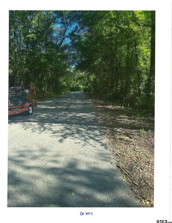 Picture 14