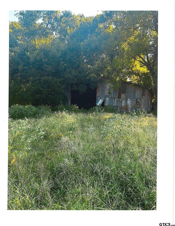 Picture 12