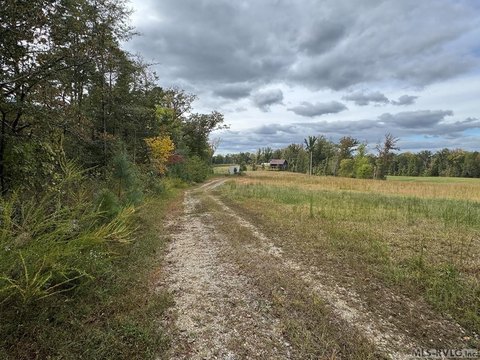 Farm/Hunt Land For Sale
