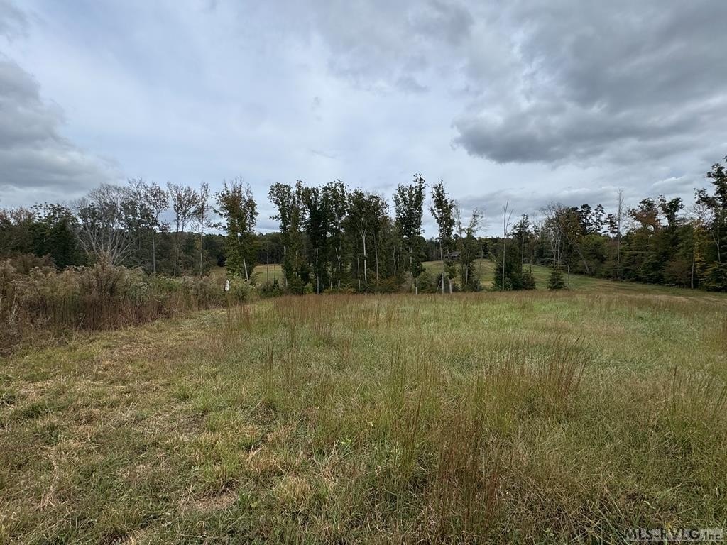 Picture 25