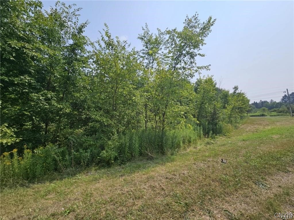Picture 3