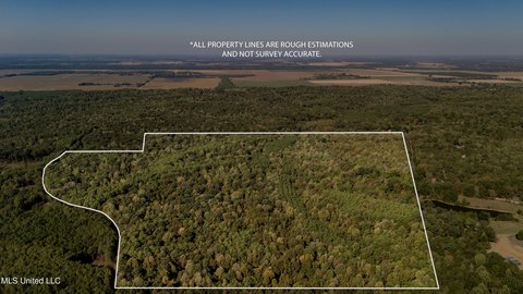 Recreational Land with Homesite Potential