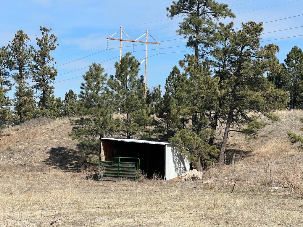 Picture 17
