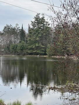Waterfront Land on Thunder Bay River
