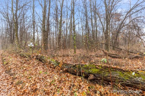 Vacant Land Near Grass Lake