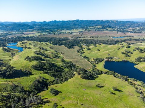 Large-Scale Ranch With Vineyards