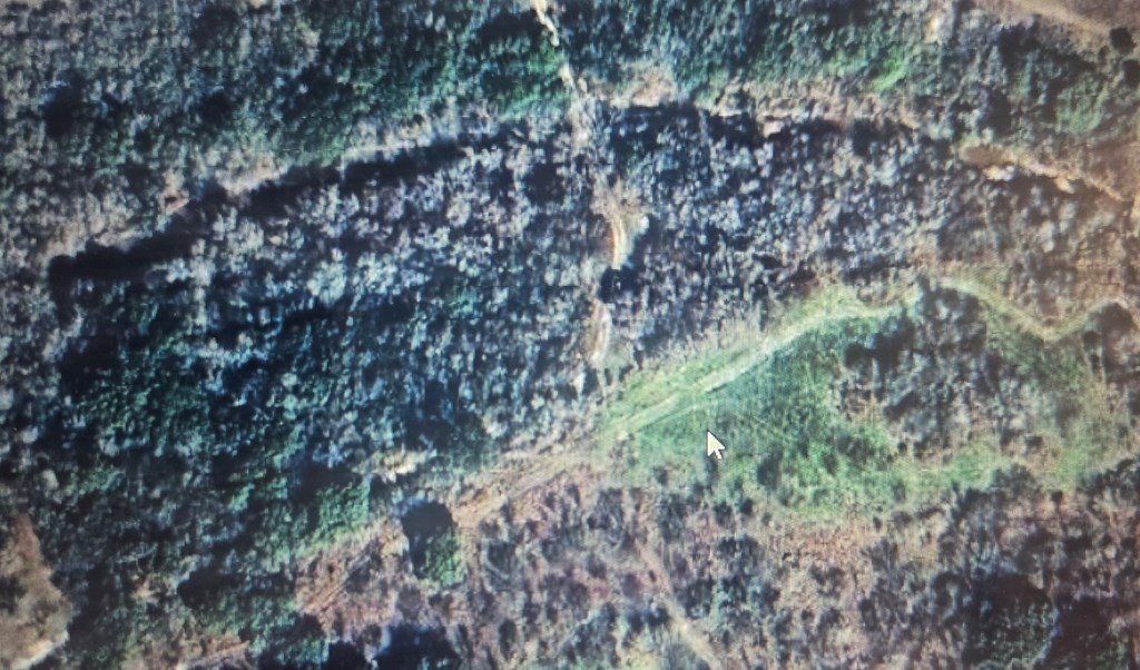 Picture 3