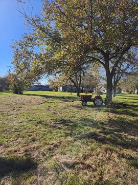 LAND - Murchison, TX