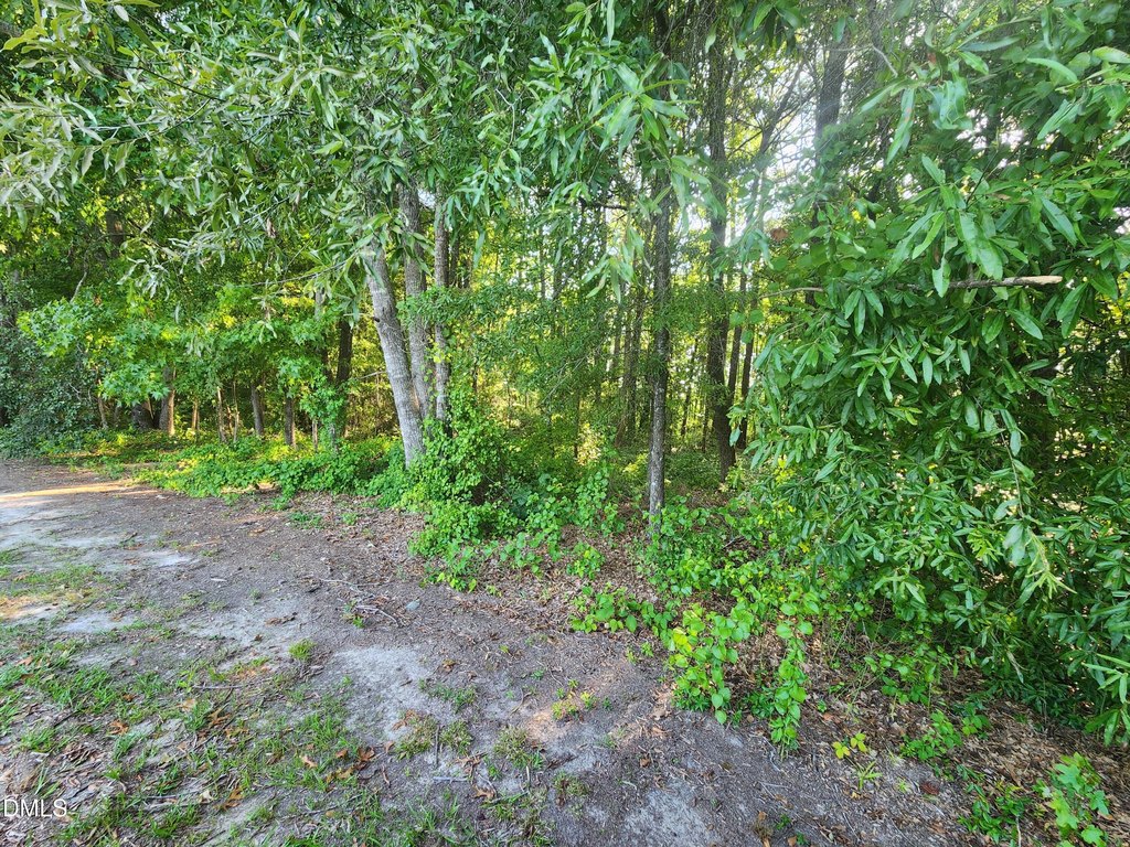Picture 8
