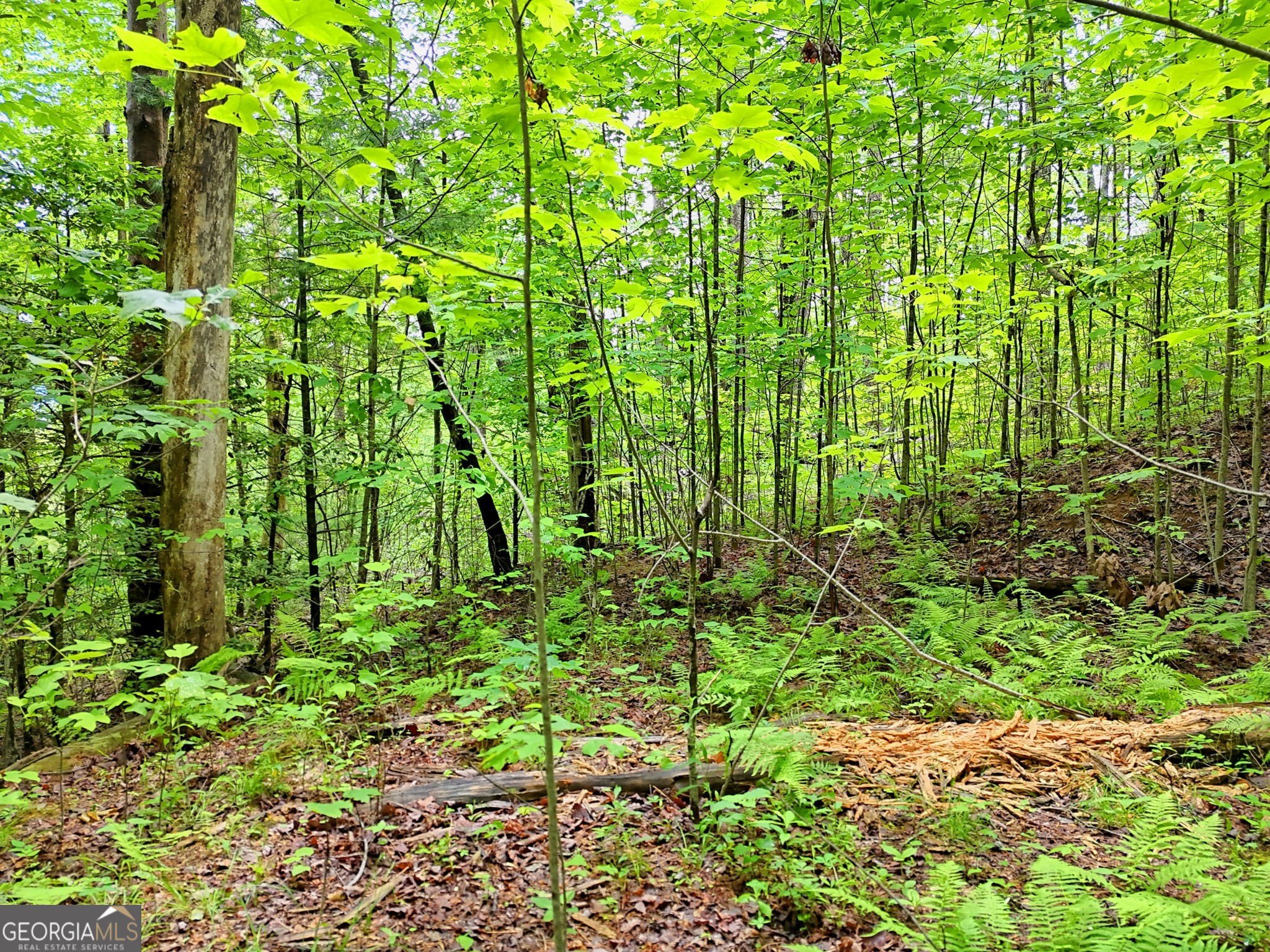 Rabun Gap Building Lot