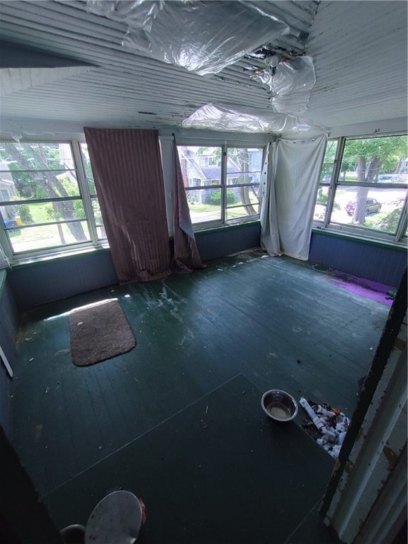 Picture 23