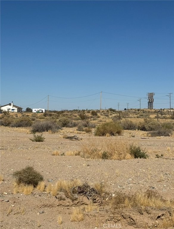 Picture 2