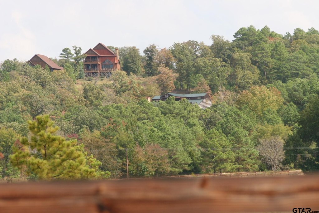 Picture 9