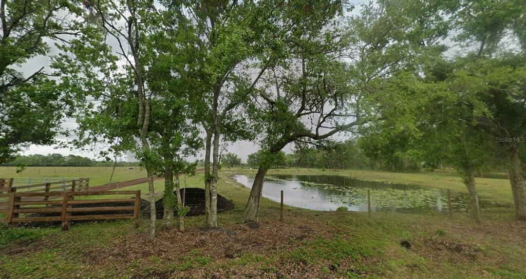 Picture 13