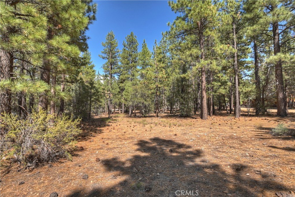 Picture 11