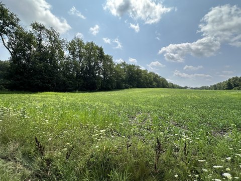 LAND - Niles, MI