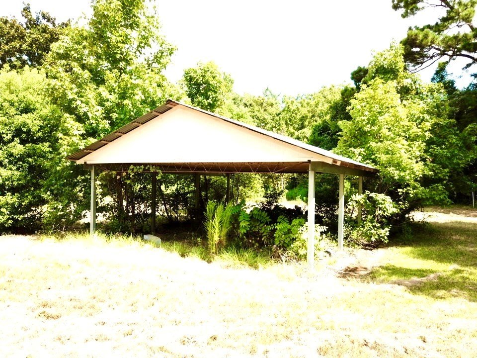 Picture 7