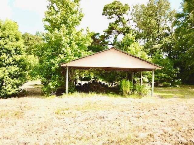 Picture 8