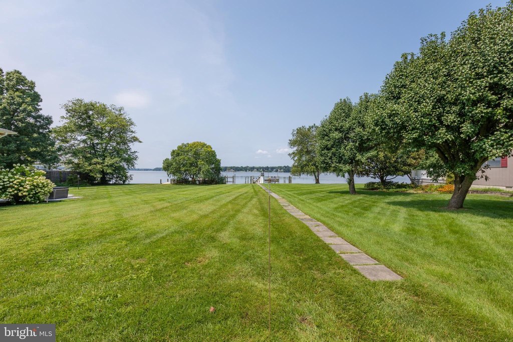 Picture 20