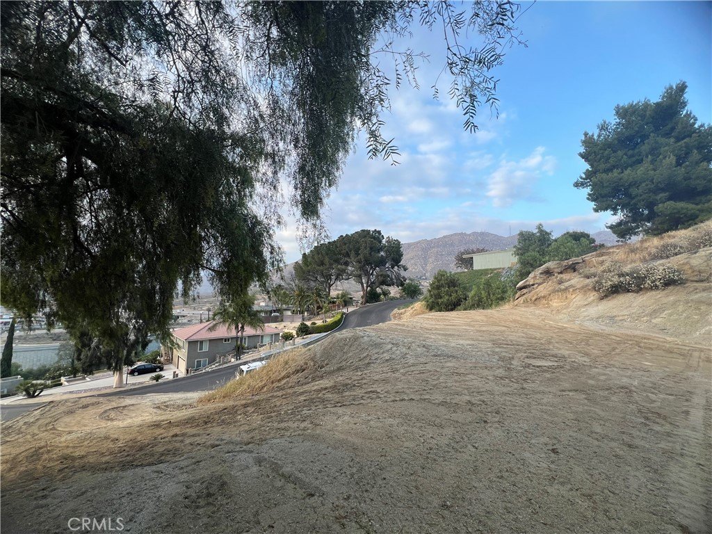 Picture 21