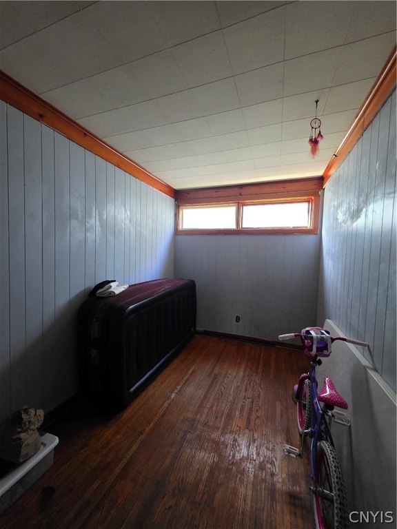 Picture 17