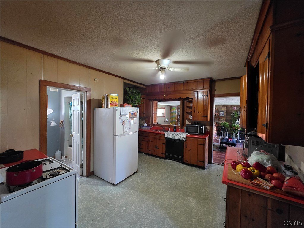 Picture 6