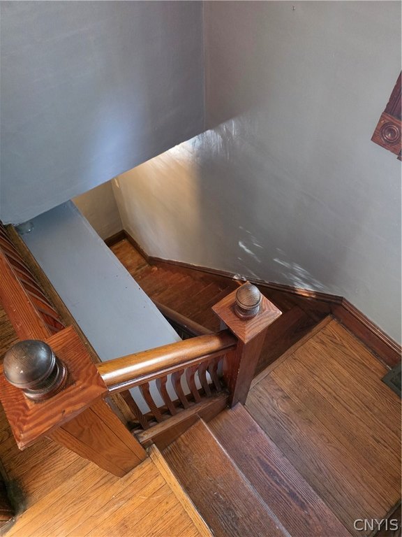 Picture 42