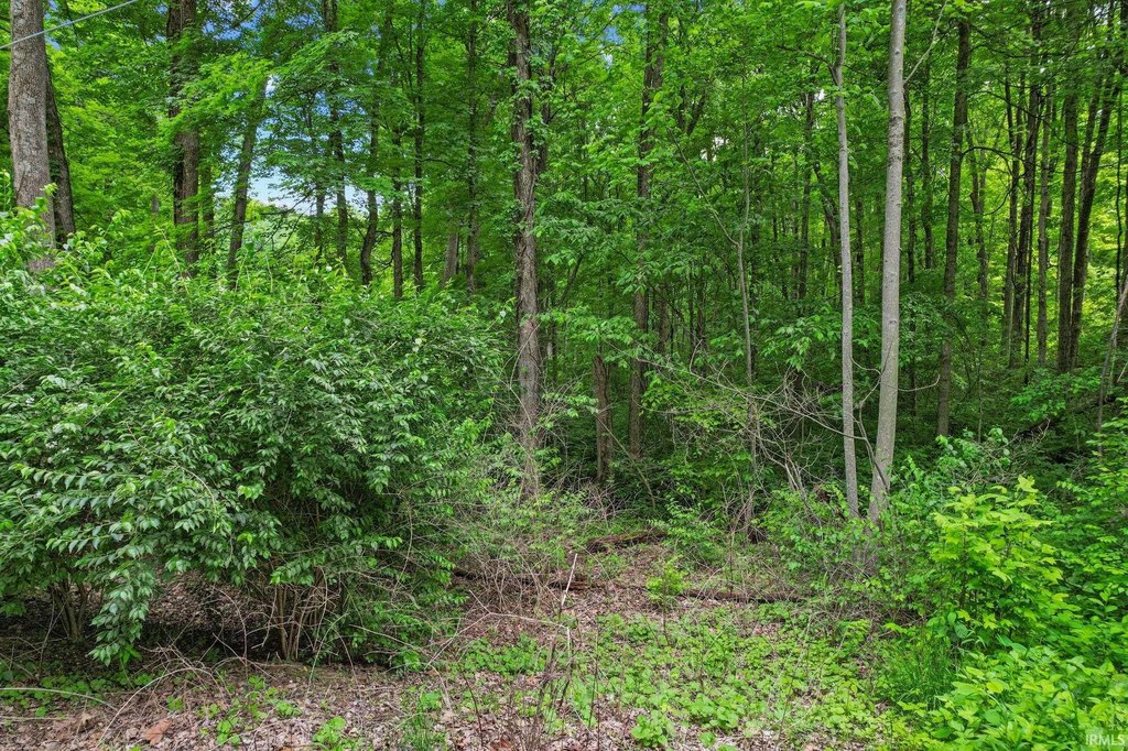 Picture 3