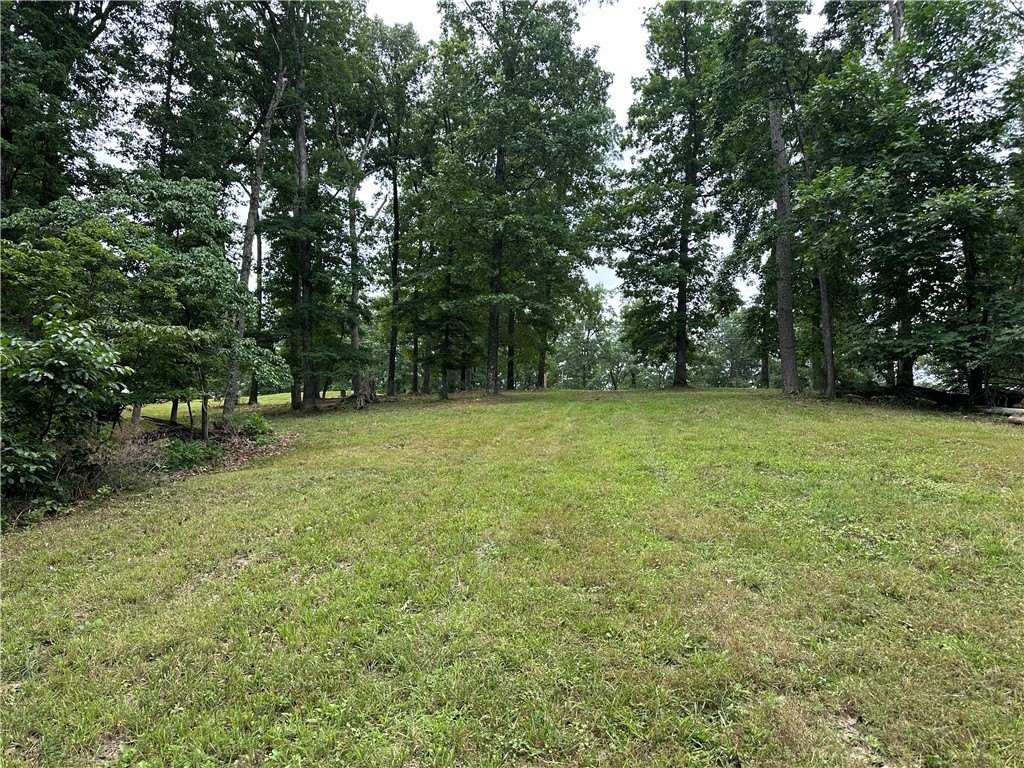 Picture 19