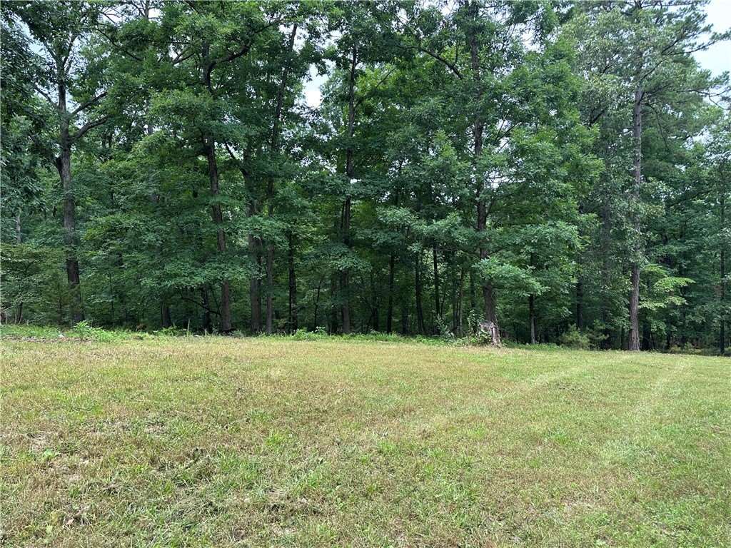 Picture 18