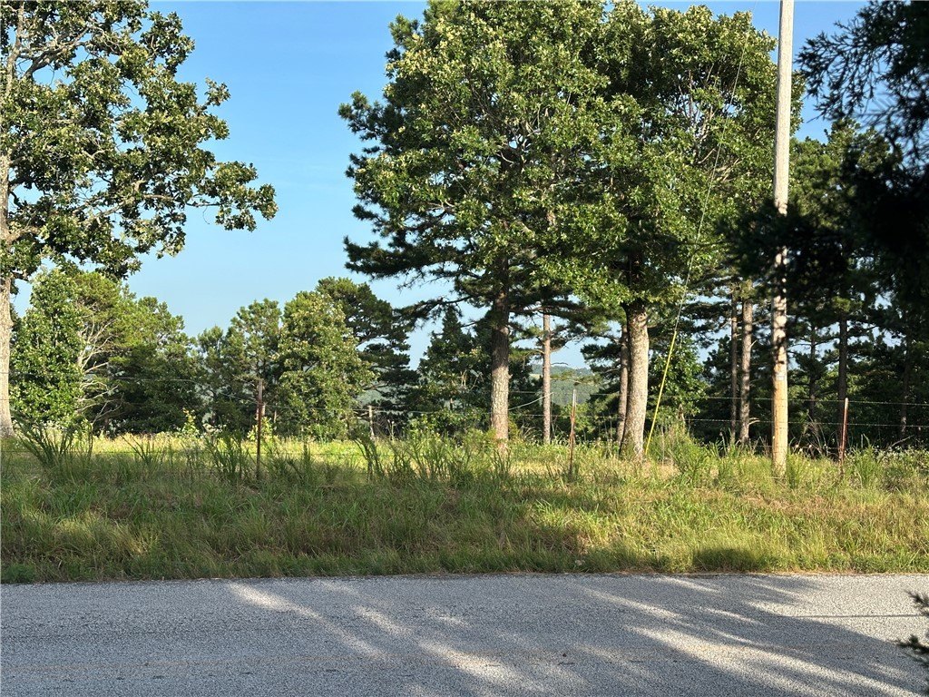 Picture 6