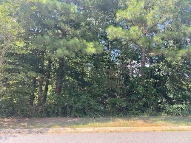 Residential Land in Established Neighborhood