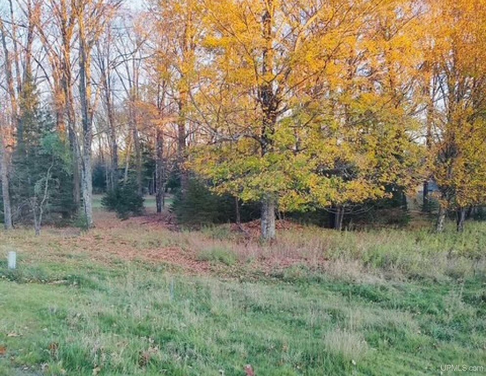 Picture 3
