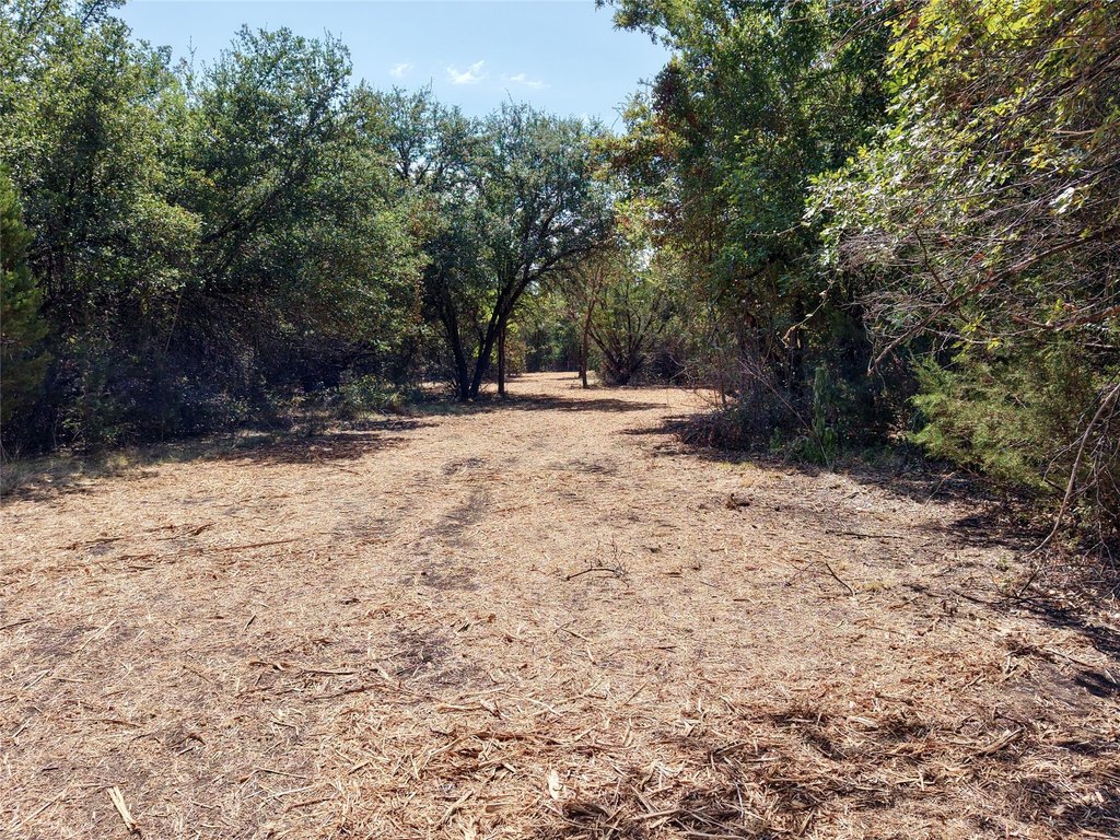Picture 10