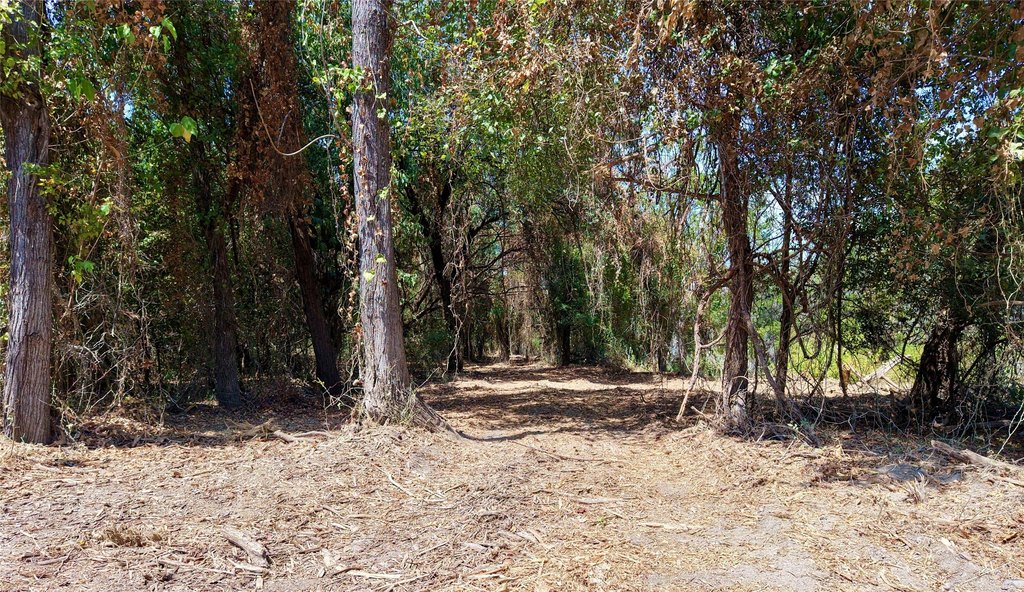 Picture 21