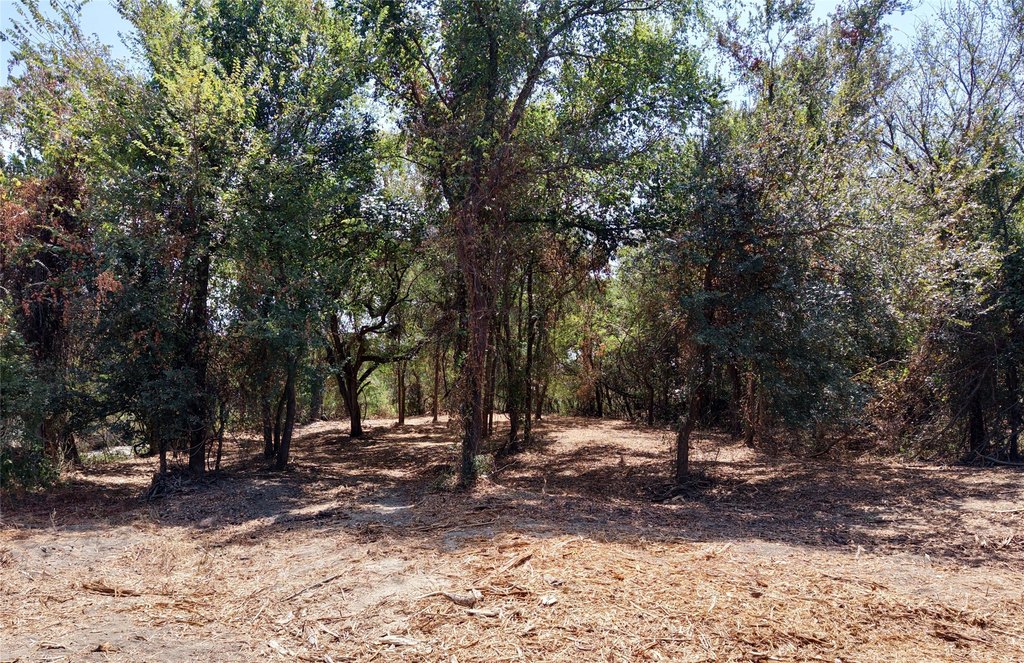 Picture 22