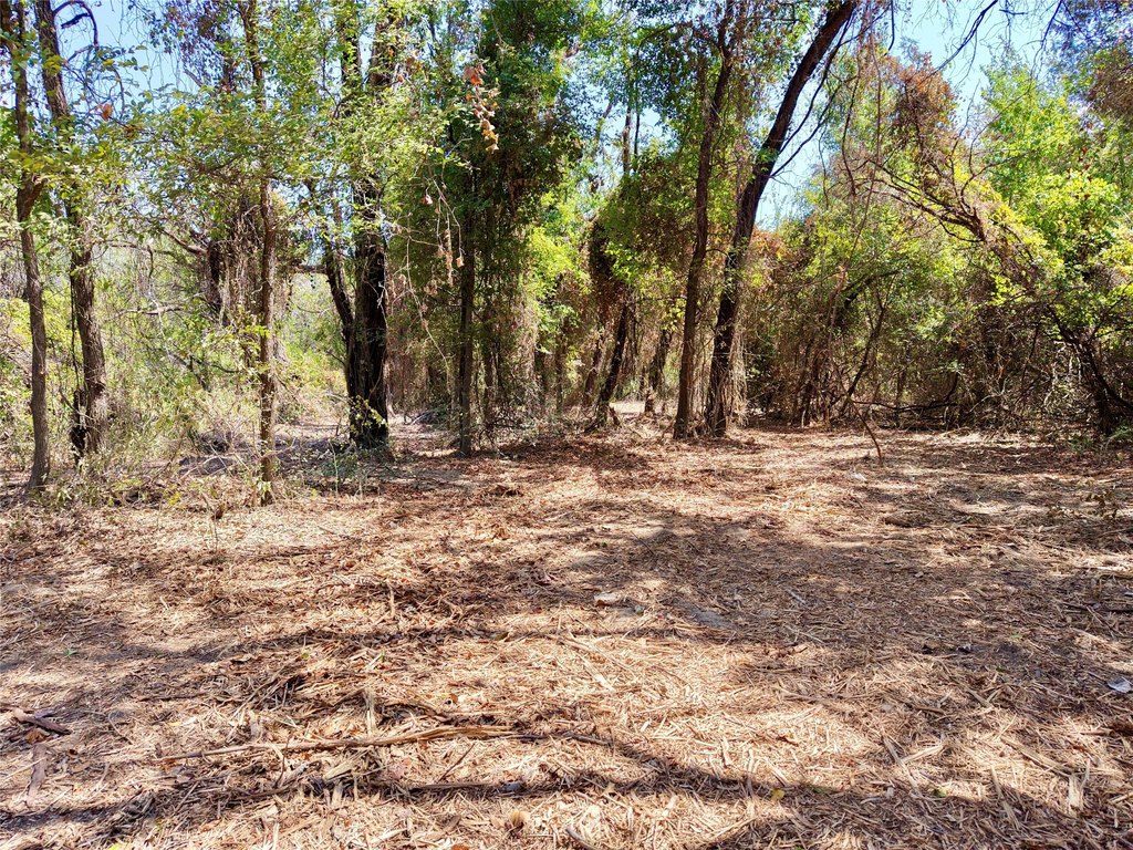 Picture 18