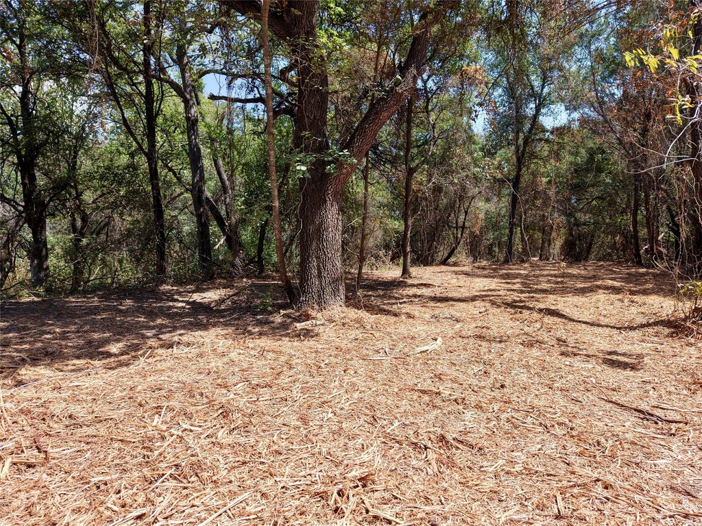 Picture 16
