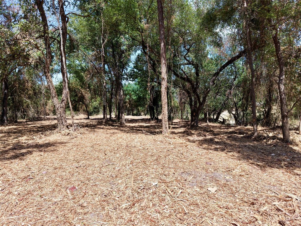 Picture 20