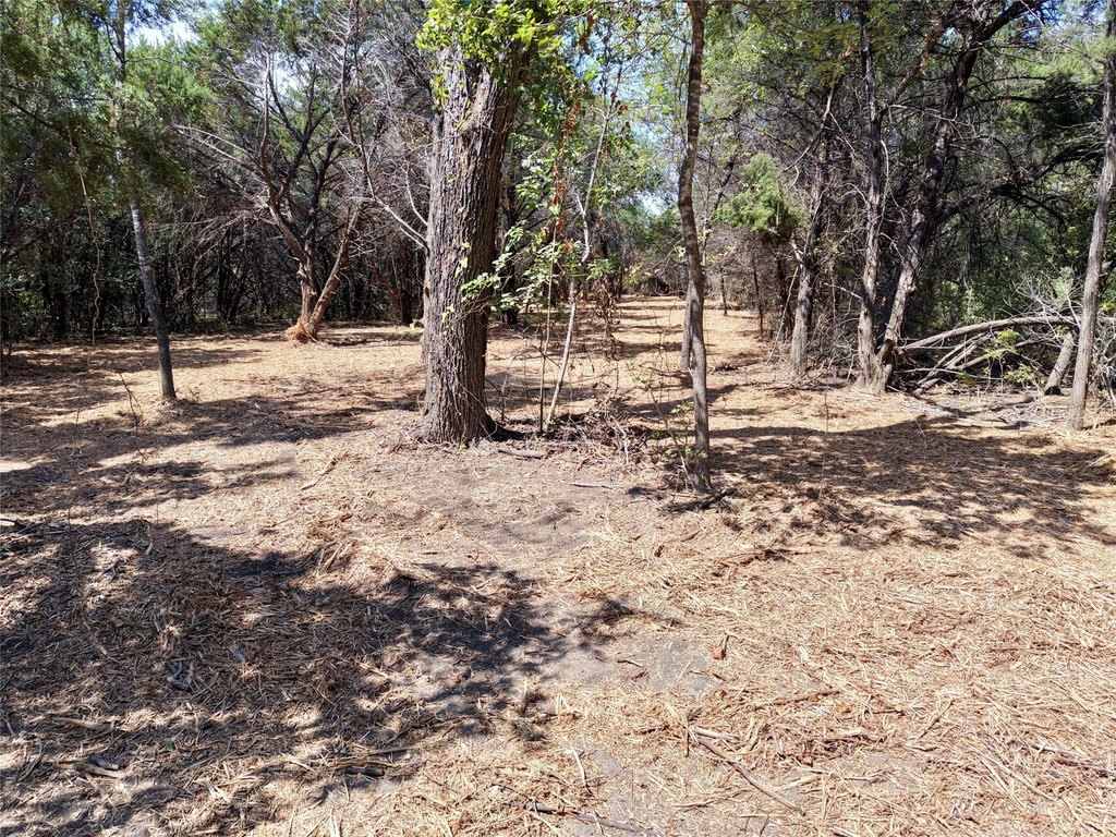 Picture 19