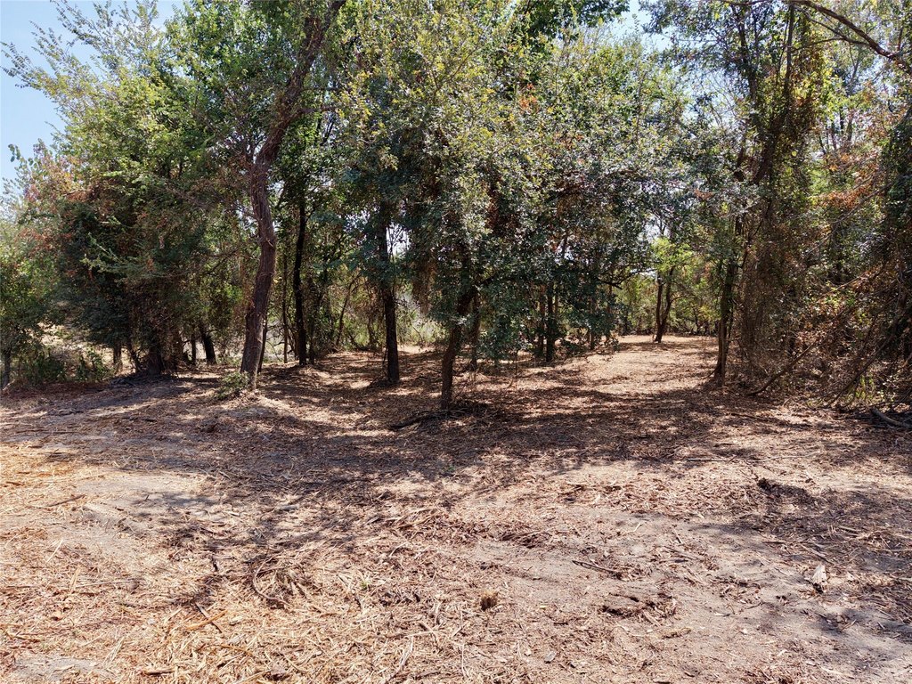 Picture 23