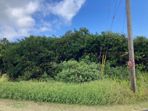 Land, Naalehu, HI