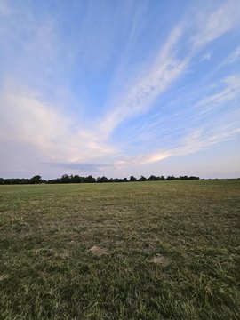 LAND - Mt Vernon, MO