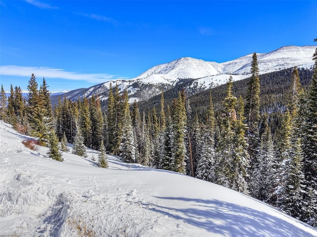 Breckenridge Land with Approved Permits