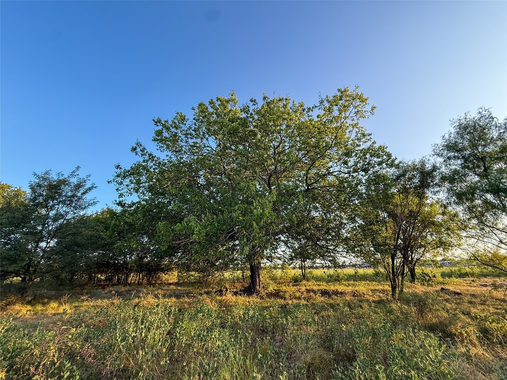 Picture 25