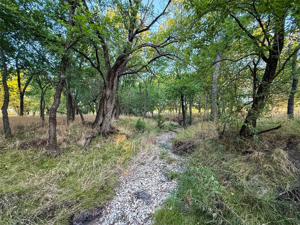 Picture 29