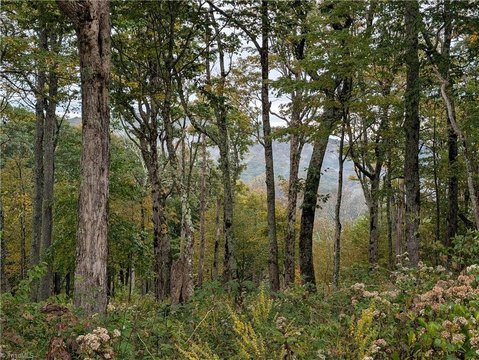 Land, Todd, NC