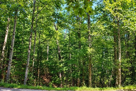 Vacant Lot, Blairsville, GA